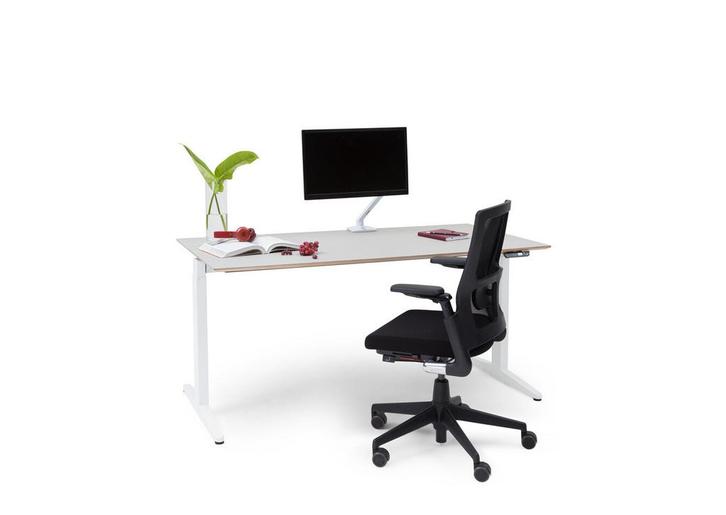 Ahrend Home Zit-Sta Bureau - Ergonomisch & Stijlvol, Huis en Inrichting, Bureaus, Zo goed als nieuw, Stabureau, Elektrisch, Ophalen