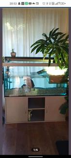 Vivarium terrarium, Ophalen, Zo goed als nieuw