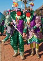Carnavals kostuum, Ophalen of Verzenden, Zo goed als nieuw, Maat 42/44 (L), Carnaval
