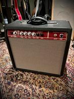SnakeAmps Tonemaster buizenversterker 1x10” gitaar, Ophalen, Gebruikt, Gitaar, Minder dan 50 watt