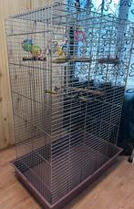 Papegaaienkooi chroom excl. Acceoires en spielgoed, Dieren en Toebehoren, Vogels | Hokken en Kooien, Ophalen, Gebruikt, Metaal