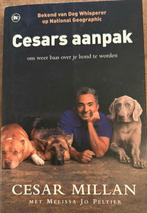 Boek Cesars Aanpak - Cesar Millan hond honden puppie, Boeken, Dieren en Huisdieren, Ophalen of Verzenden, Zo goed als nieuw, Honden