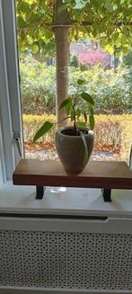 Vensterbank tafeltje nieuw, Minder dan 55 cm, Rond, Nieuw, Ophalen of Verzenden