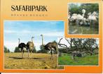 Ansichtkaart	Hilvarenbeek	Beekse Bergen 	Safaripark 3-luik, Gelopen, Noord-Brabant, Verzenden, 1980 tot heden