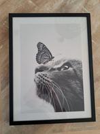 Poster kat met vlinder 20x30 cm, Zo goed als nieuw, Ophalen