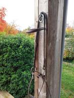 Leren bit met hoofdstel, Dieren en Toebehoren, Ophalen of Verzenden, Zo goed als nieuw, Recreatie