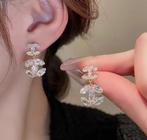 Mooie strass CC Oorknopjes, CADEAUTIP van SINT!, Overige materialen, Overige kleuren, Verzenden, Nieuw