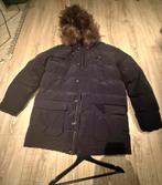 Mustang winterse jas te koop maat L, Ophalen, Maat 52/54 (L), Zwart, Mustang