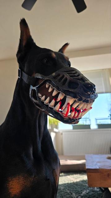 Stoere / Enge muilkorf voor grote hond  beschikbaar voor biedingen