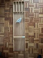 Kindersjoelbak, Ophalen, Zo goed als nieuw, Jongen of Meisje