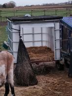 Schuilhok aanhanger, Januari, Meerdere dieren