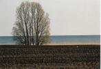 Oudemirdum- -Aan het IJsselmeer., Verzamelen, Ansichtkaarten | Nederland, Verzenden, 1980 tot heden, Ongelopen, Friesland