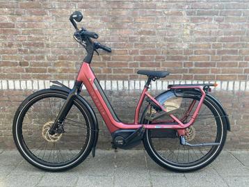 GAZELLE AVIGNON C8 CONNECT 2023 BOSCH MIDDENMOTOR 49CM 625WH beschikbaar voor biedingen