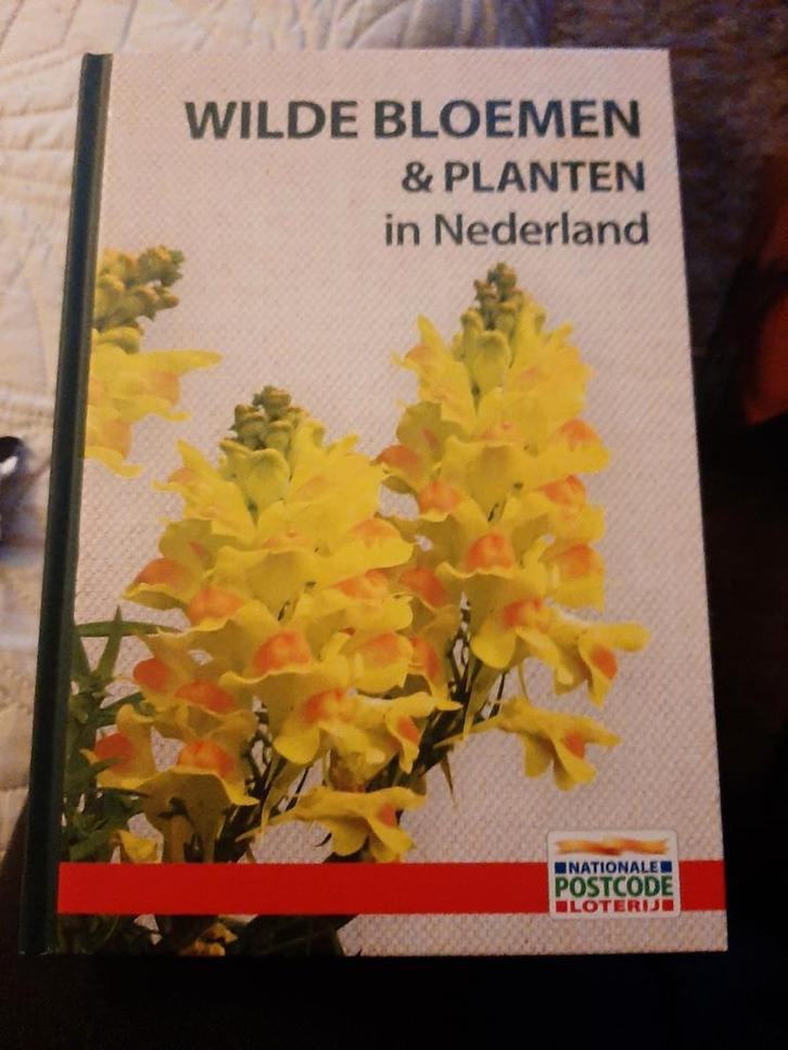 Wilde Bloemen & Planten in Nederland - Natuurgids, Boeken, Natuur, Ophalen of Verzenden