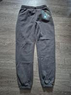 Gevoerde grijze Joggingbroek met Stitch afbeelding, Ophalen of Verzenden, Zo goed als nieuw, Jongen of Meisje, Broek
