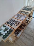 vlindercollectie GERESERVEERD, Verzamelen, Dierenverzamelingen, Ophalen of Verzenden, Opgezet dier