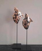 Set taupe zwarte echte tijgerschelpen op voet, Huis en Inrichting, Ophalen, Nieuw, X, X