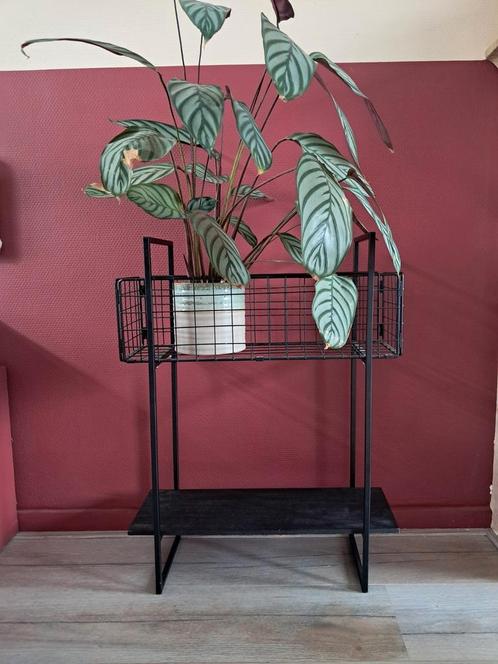 Industrieel plantenrekje, Huis en Inrichting, Tafels | Sidetables, Zo goed als nieuw, 25 tot 50 cm, Rechthoekig, Metaal, Ophalen of Verzenden