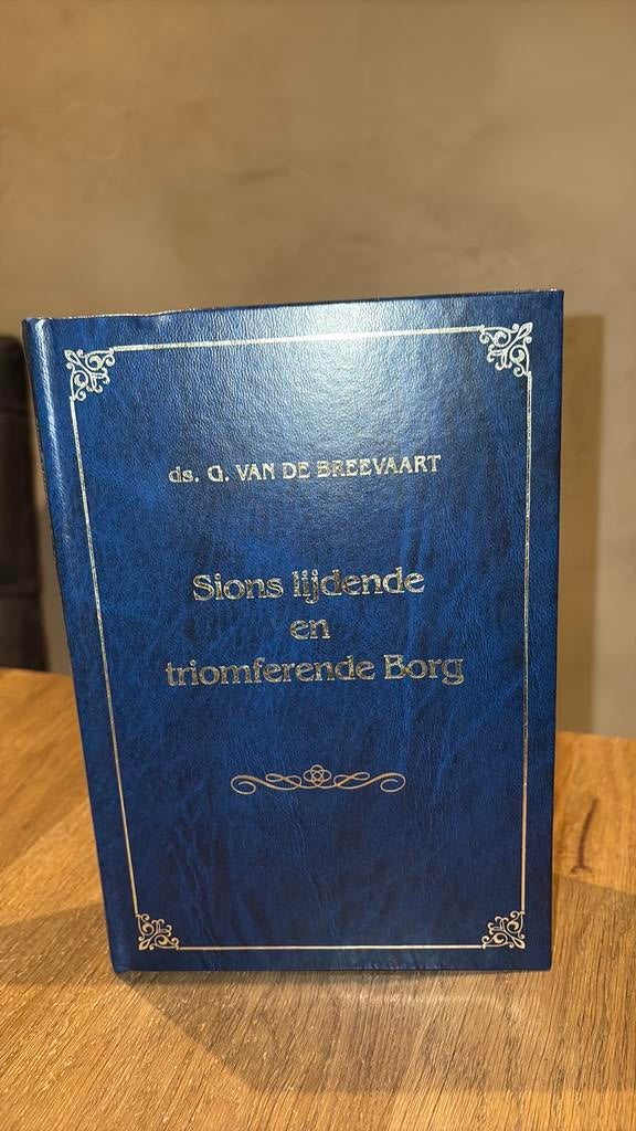 KR-1 Ds G van de Breevaart Sions lijdende en betalende Borg, Boeken, Ophalen of Verzenden, Gelezen