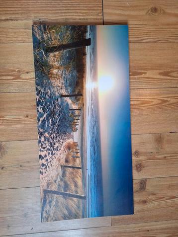 Schilderij met Lampje in de zon beschikbaar voor biedingen