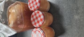 Biologische scoby Kombucha zwam  beschikbaar voor biedingen