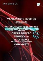 2 Tickets/ Yanamaste invites/ Intercell ADE 25.10, Tickets en Kaartjes, Drie personen of meer