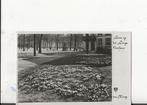 Den Haag Lange Voorhout Lente, Verzenden, 1920 tot 1940, Ongelopen, Zuid-Holland