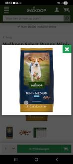 Welkoop puppy brokken, Ophalen of Verzenden, Hond