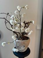 Seta fiori bloesemboom vintage pot boom bloesem, Ophalen, Zo goed als nieuw