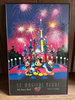 Disney poster Walt Disney World, Verzamelen, Posters, Ophalen, Zo goed als nieuw, A1 t/m A3, Film en Tv