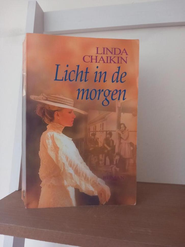 Licht in de morgen - Linda Chaikin, Boeken, Romans, Gelezen, Nederland, Ophalen of Verzenden