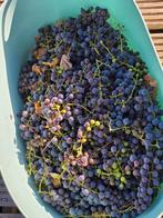 Gratis druiven, Ophalen, Overige onderwerpen