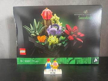 LEGO | Botanical Succulents | 10309 - Nieuw beschikbaar voor biedingen