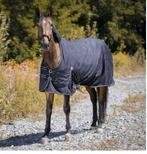 Verzorgpony aangeboden, Dieren en Toebehoren, Paarden en Pony's | Overige Paardenspullen, Ophalen of Verzenden, Dressuur