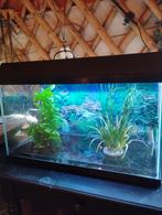 Aquarium compleet klaar voor gebruik, Dieren en Toebehoren, Vissen | Aquaria en Toebehoren, Ophalen, Zo goed als nieuw, Leeg aquarium
