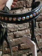 Hoofdstel pony, Dieren en Toebehoren, Ophalen of Verzenden, Zo goed als nieuw, Dressuur