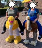 Leuk struisvogel pak, Ophalen of Verzenden, Gebruikt, Overige typen
