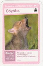 Super dieren no.63 Coyote [2705]  [VeOvSu], Albert Heijn, Ophalen of Verzenden
