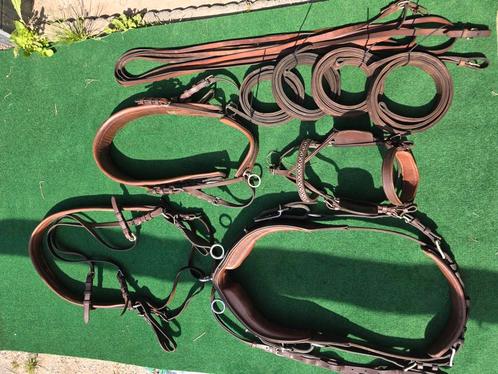 ideal luxe kastanjebruin marathontuig COB, Dieren en Toebehoren, Paarden en Pony's | Hoofdstellen en Tuigage, Gebruikt, Overige soorten