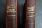 2 woordenboeken  engels/nederlands 1910, Boeken, Gelezen, Koenen of Wolters, Wolters-Noordhoff, Ophalen of Verzenden