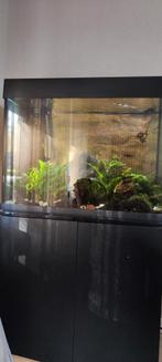 Aquarium, Ophalen, Zo goed als nieuw, Leeg aquarium