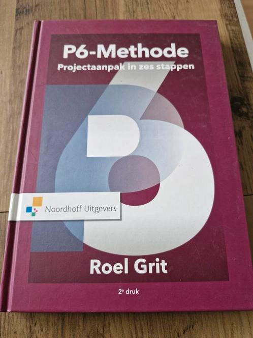 Roel Grit - Projectaanpak in zes stappen, Boeken, Wetenschap, Zo goed als nieuw, Ophalen of Verzenden
