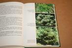 Tuinconiferen - Guido F. Lampe, Ophalen of Verzenden, Gelezen, Interieur en Design