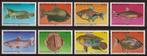 Suriname 216/23 postfris Vissen 1980, Postzegels en Munten, Postzegels | Suriname, Ophalen of Verzenden, Postfris