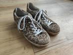 Vingino schoenen meisje maat 38 panter print., Kinderen en Baby's, Kinderkleding | Schoenen en Sokken, Gebruikt, Meisje, Schoenen
