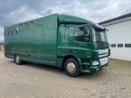 DAF CF  6paards paardenvrachtwagen, Ophalen, Gebruikt, Aluminium, Overige typen