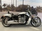 Harley-Davidson Vrscf 1250 V-ROD MUSCLE, 2 cilinders, Chopper, Bedrijf, Meer dan 35 kW