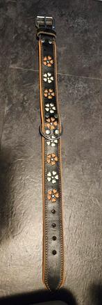 Hondentuigen/halsband, Ophalen of Verzenden