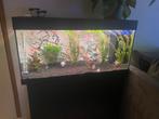 Juwel 180 met juwel led verlichting, Dieren en Toebehoren, Vissen | Aquaria en Toebehoren, Ophalen of Verzenden, Zo goed als nieuw