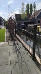 Dubbelstaafmat hekwerk NIEUW 80 cm Hoog COMPLEET (8/6/8), Tuin en Terras, Tuinhekken en Hekwerk, Ophalen, Nieuw, IJzer, Dubbelstaafmat hekwerk